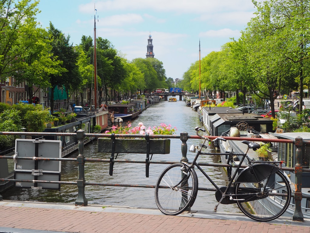 Urokliwy kanał w Holandii. Na pierwszym planie przywiązany jest typowy holenderski rower oparty o metalową barierkę, która jest częścią mostu lub nabrzeża. Po obu stronach kanału widać zadbane, pływające domy (tzw. houseboats), które są popularną formą mieszkania w Amsterdamie i innych holenderskich miastach. Wzdłuż kanału ciągnie się aleja zadrzewiona, a nad kanałem góruje wieża, co może wskazywać na obecność pobliskiego kościoła lub innego historycznego budynku. Kanał jest pełen łodzi, co wraz z kwiatami na pierwszym planie tworzy malowniczy i typowo holenderski krajobraz. Niebo jest lekko zachmurzone, ale światło wskazuje na pogodny dzień.
